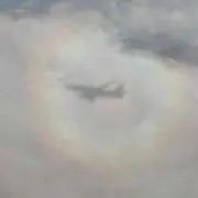 チョコ