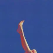 バヤシの画像