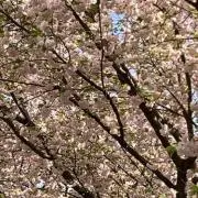 ゆん☺️の画像