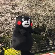 ハーの画像