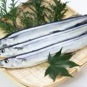 秋刀魚