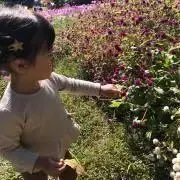 なこなこの画像