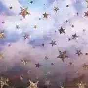 夏セール中