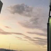 mam-chの画像