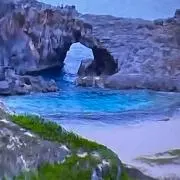 イルカの画像
