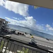 なまずの画像