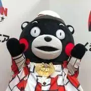 ぽんぽんぽぽの画像