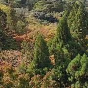 購入まってます！の画像