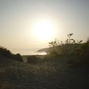 ullの画像