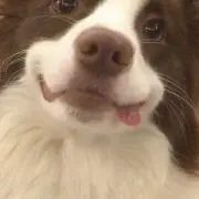 ユニクロユーの画像