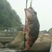 じゃーのんの画像