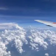 AYの画像