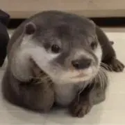 カリナ