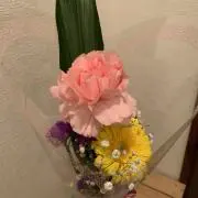 ミーミキの画像