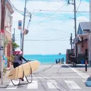 ハナタロの画像