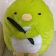 ペンペンの画像