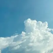るるの画像