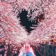 fuji✳︎プロフお読みください✳︎の画像