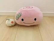 ドドの画像