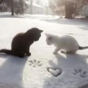 ソラ【まとめ購入で若干お値下げ】