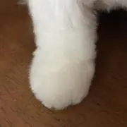 りんりん