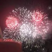 cohaisd804の画像