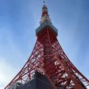 Tの画像