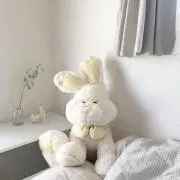 あめの画像