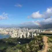 ともの画像