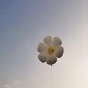 kaの画像