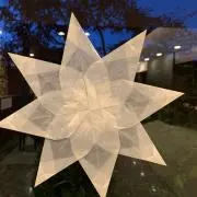 ちこ
