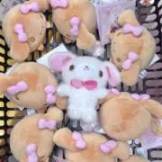 なの画像