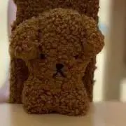 やまの画像