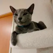 ののちゃんの画像