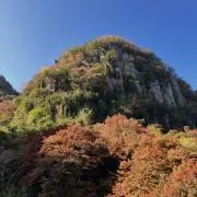Aiの画像