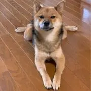 B2Kの画像