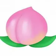 もも
