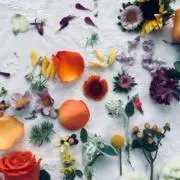 もの画像