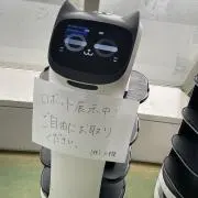 花の画像