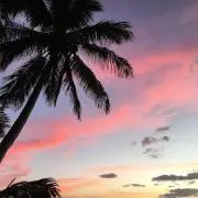 Hiroの画像