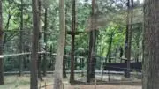 mui☆プロフ読んでください♬の画像