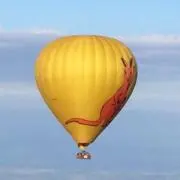 サリーの画像