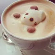 抹茶の画像