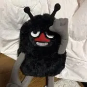 エミぃの画像