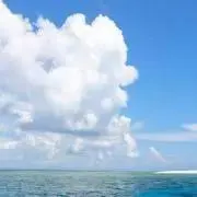 ぽぽぽぽ