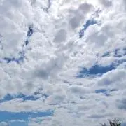 ハレタの画像
