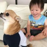 ひなママ