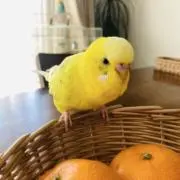 ゆう子の画像