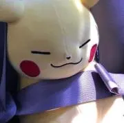 ぴんの画像