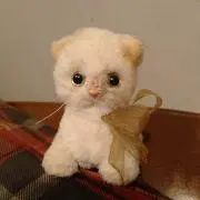 まるのクローゼットの画像